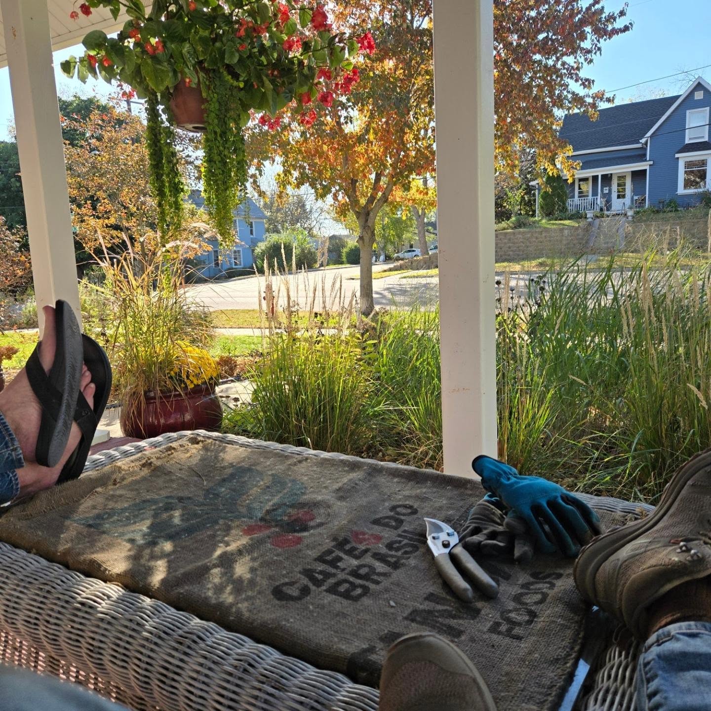 Current situation... have prepped for new plant plugs coming from Prairie moon nursery! 

#gardening #fallplanting #nativeplants #gardenbitewithteriknight